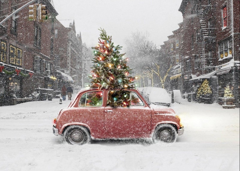 how to tie a Christmas tree to your car how to tie a Christmas tree to your car
