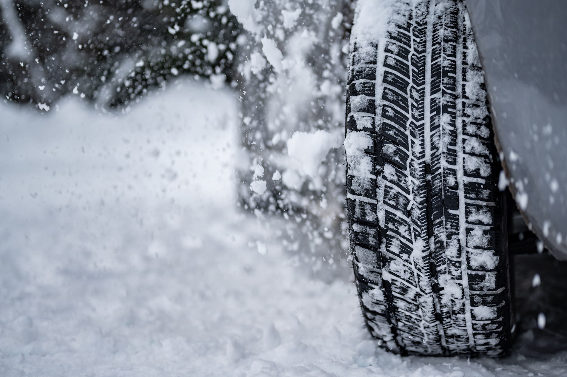 Close-up of a tire driving over snow