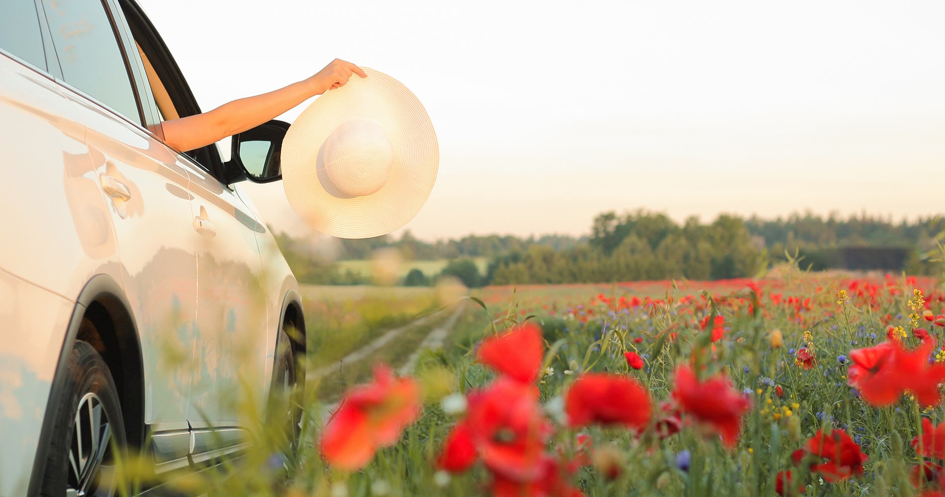 Enjoy Haus Auto Group’s Spring Savings Event Near Struthers, OH Close-up of a vehicle in a field of flowers
