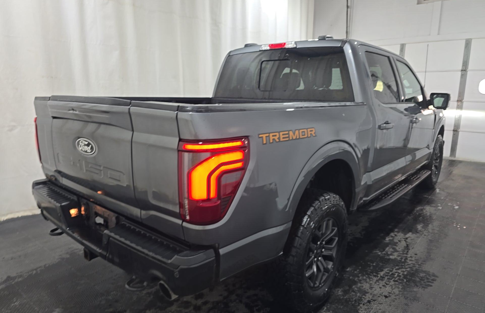Used 2025 Ford F-150 Tremor Truck