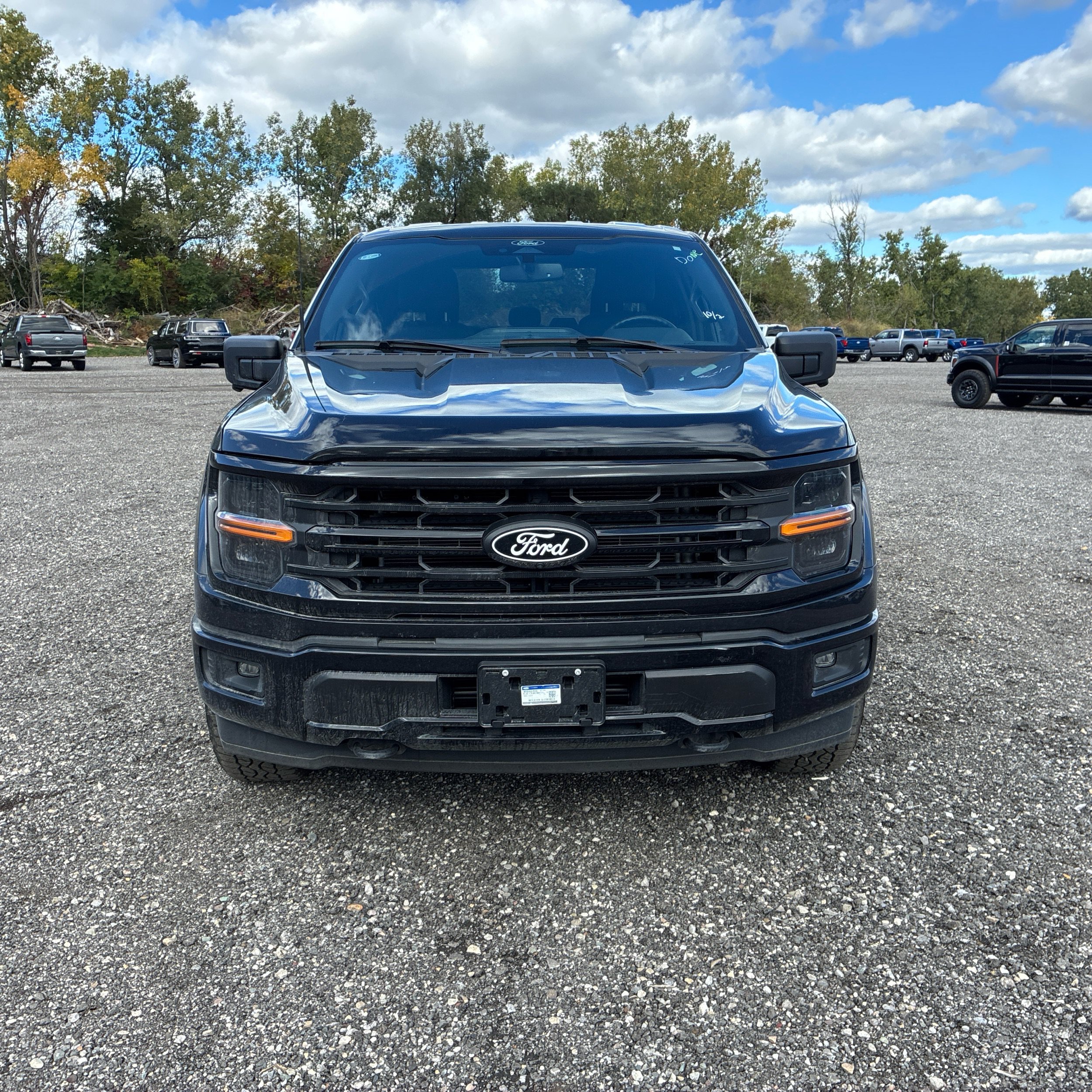 Used 2024 Ford F-150 XLT Truck