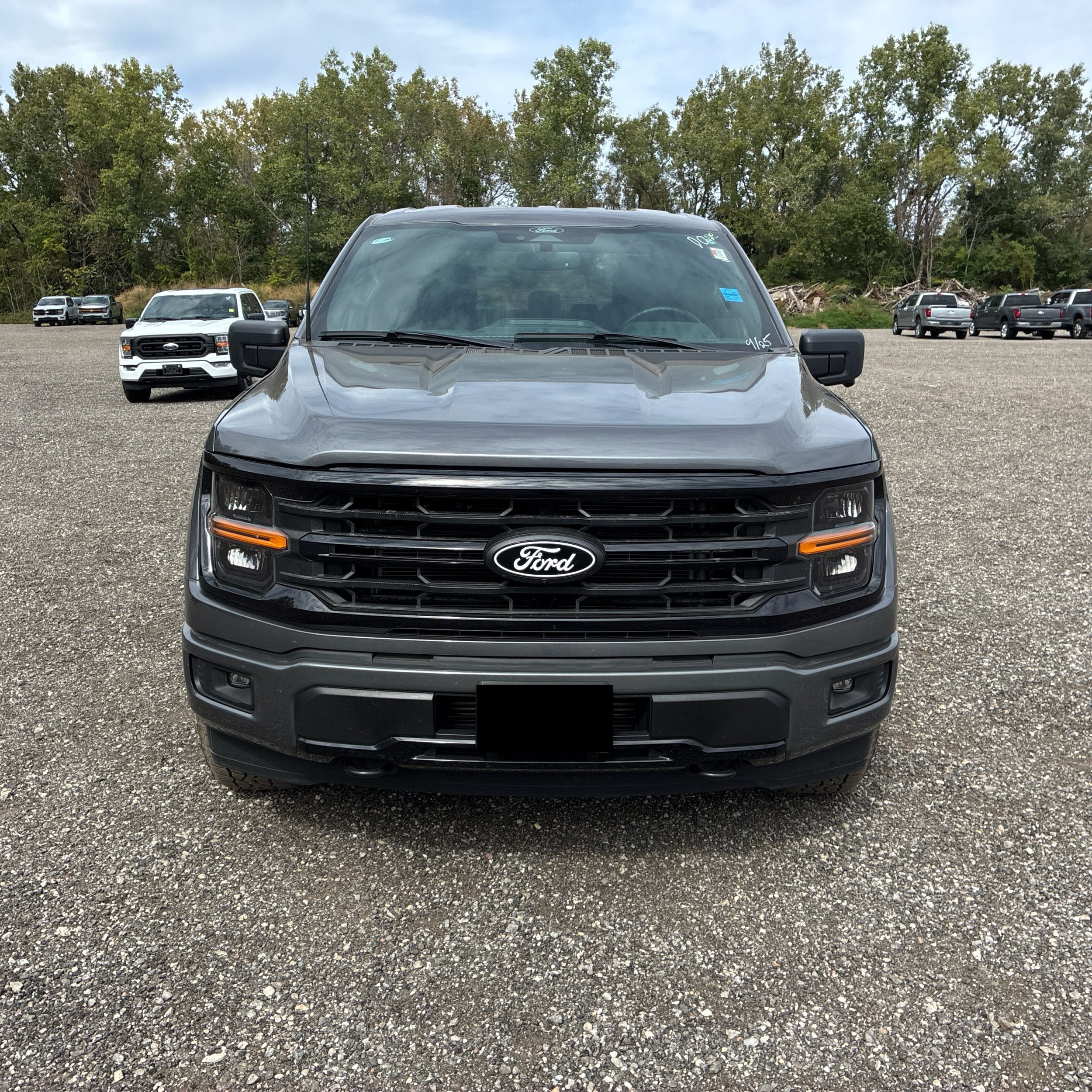 Used 2024 Ford F-150 XLT Truck
