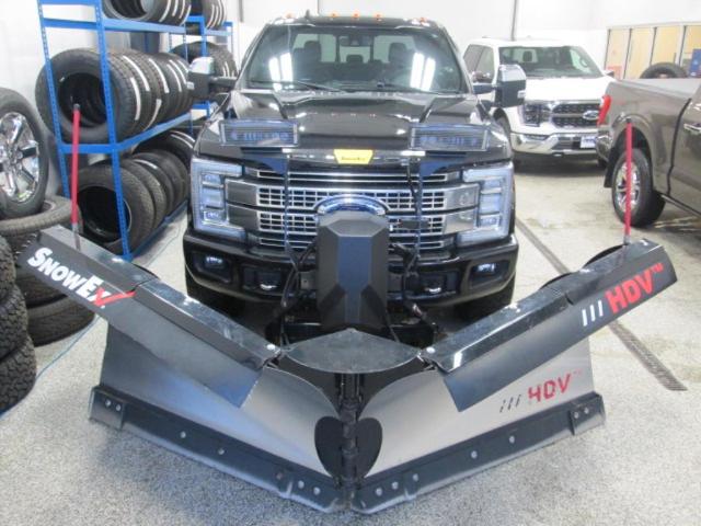 Used 2019 Ford F-350 Super Duty Platinum with VIN 1FT8W3BT1KEF69889 for sale in Crookston, Minnesota
