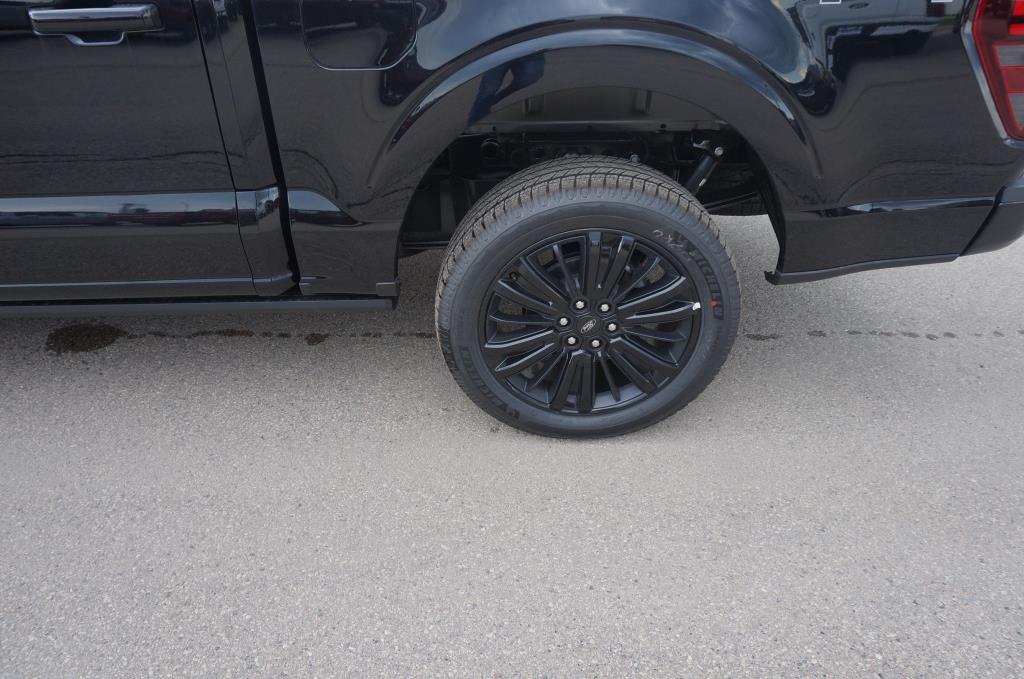 2025 Ford F-150 Platinum photo 2