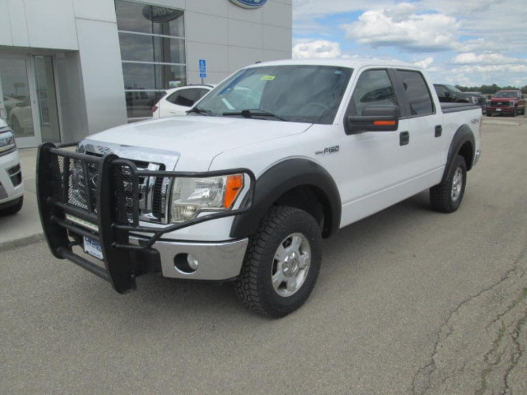 Used 2009 Ford F-150 XLT with VIN 1FTPW14V99FA09198 for sale in Crookston, Minnesota