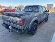 2013 Ford F-150 FX4 Truck