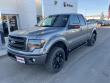 2013 Ford F-150 FX4 Truck