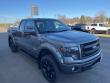 2013 Ford F-150 FX4 Truck