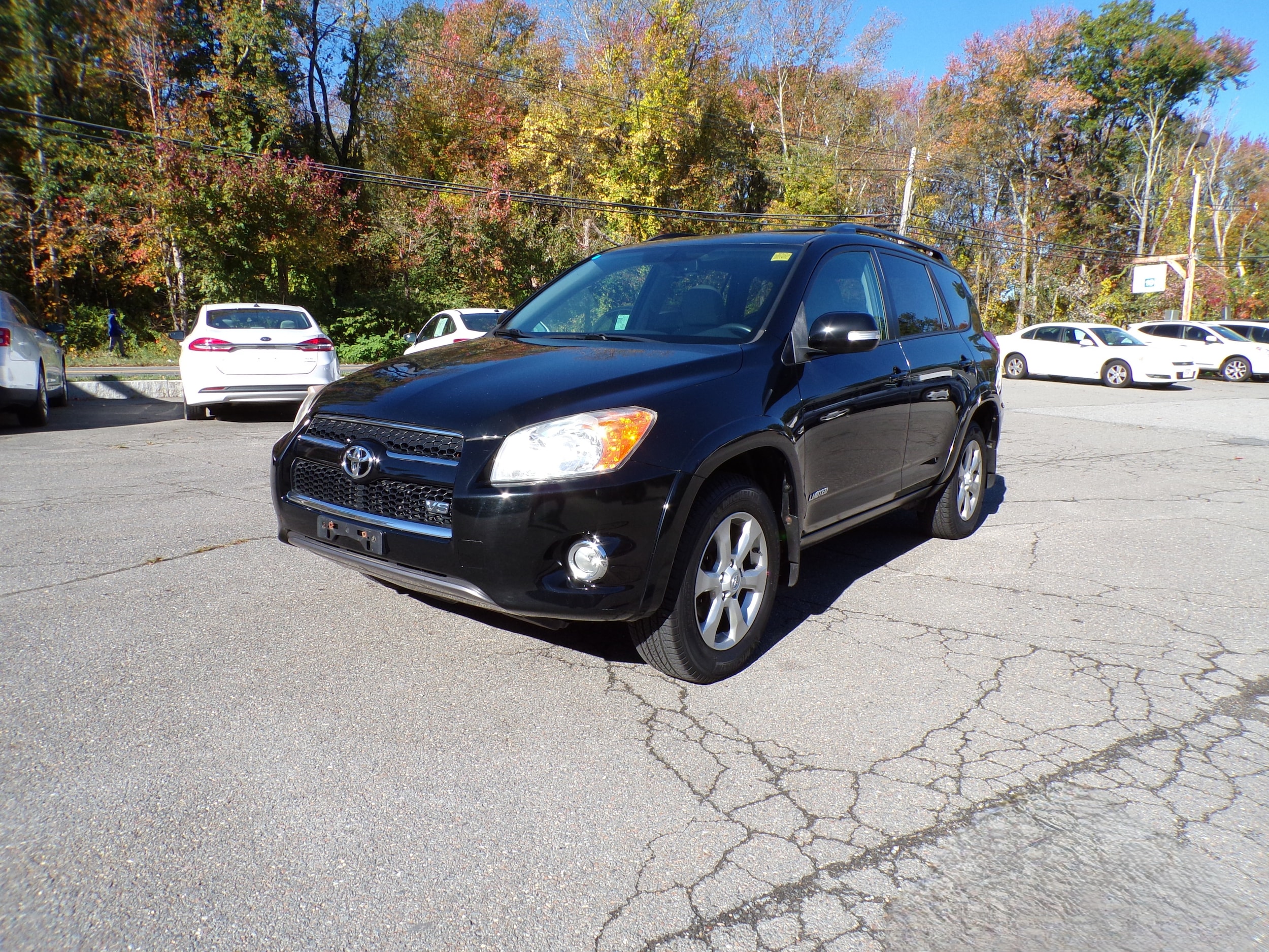 2010 Toyota RAV4 Limited