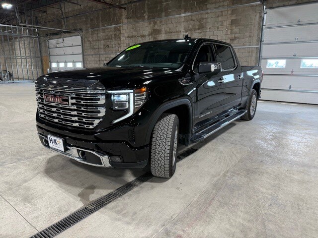2024 Gmc Sierra 1500 Denali photo 3
