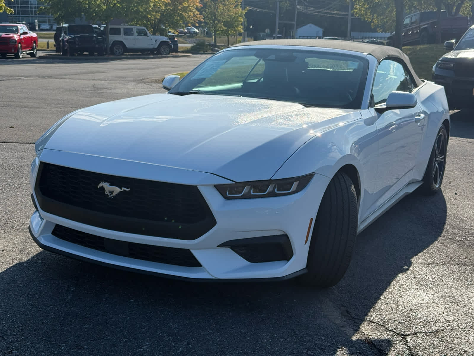 2025 Ford Mustang EcoBoost Premium Convertible photo 3