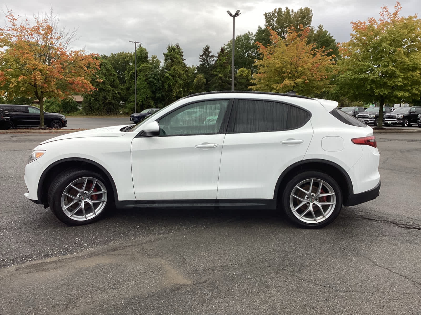 2019 Alfa Romeo Stelvio Ti Sport photo 4