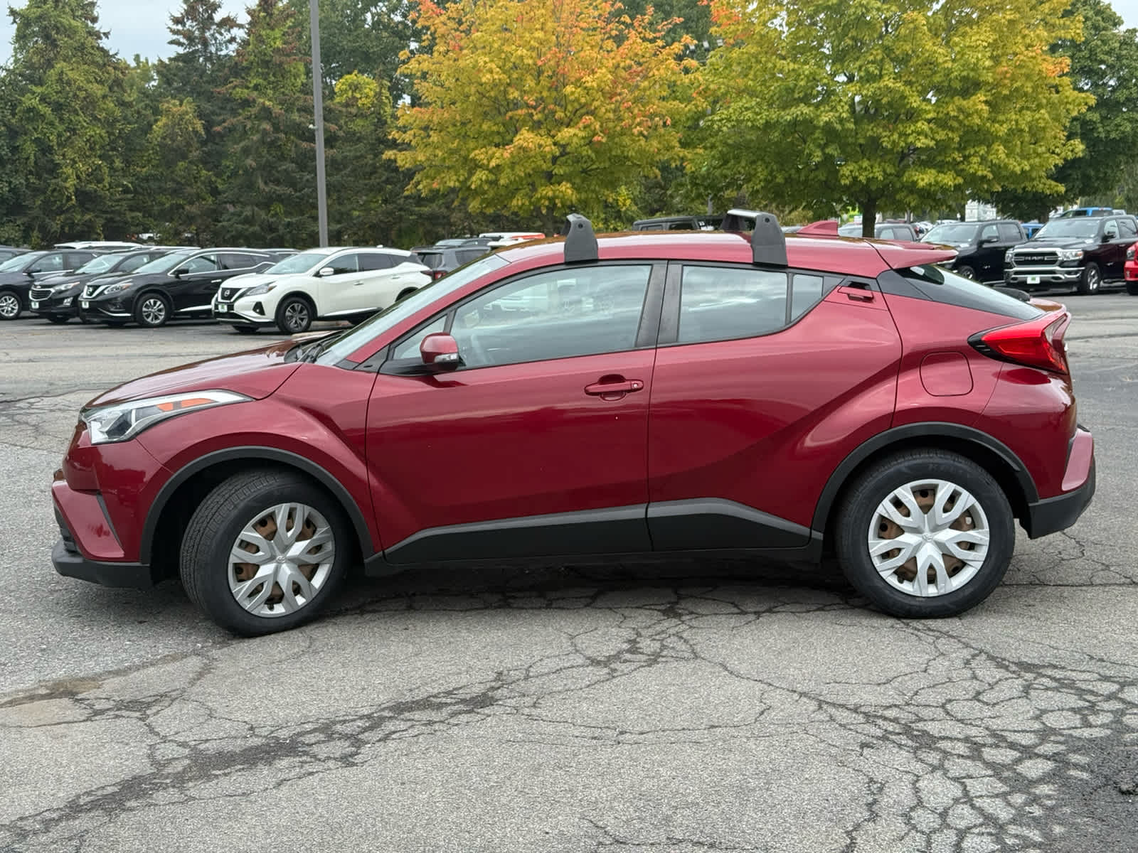 2019 Toyota C-HR XLE Limited photo 4
