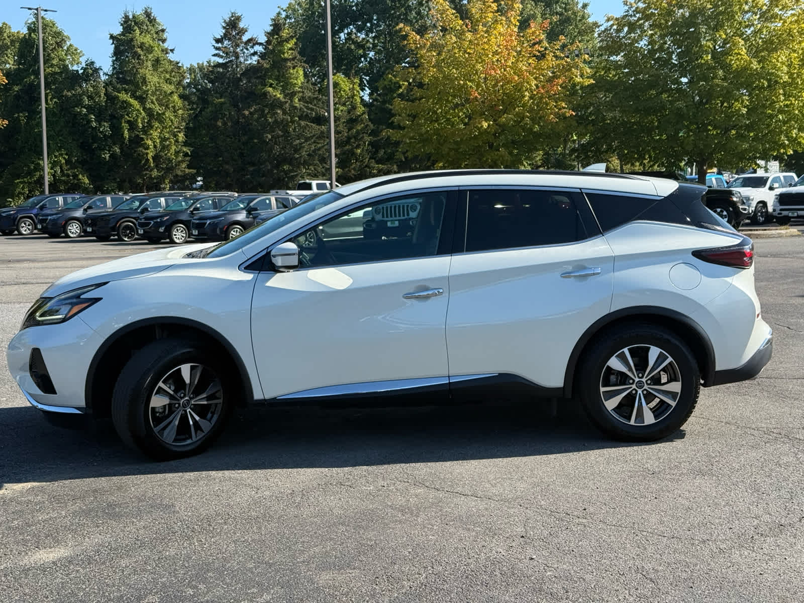 2023 Nissan Murano SV photo 4