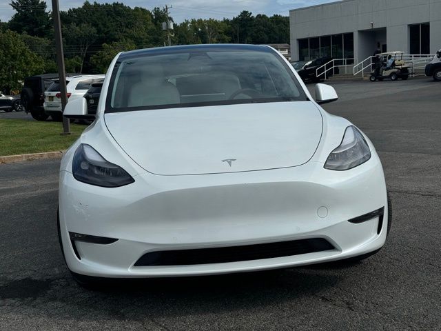 Used 2022 Tesla Model Y Performance with VIN 7SAYGDEF8NF443785 for sale in Clifton Park, NY