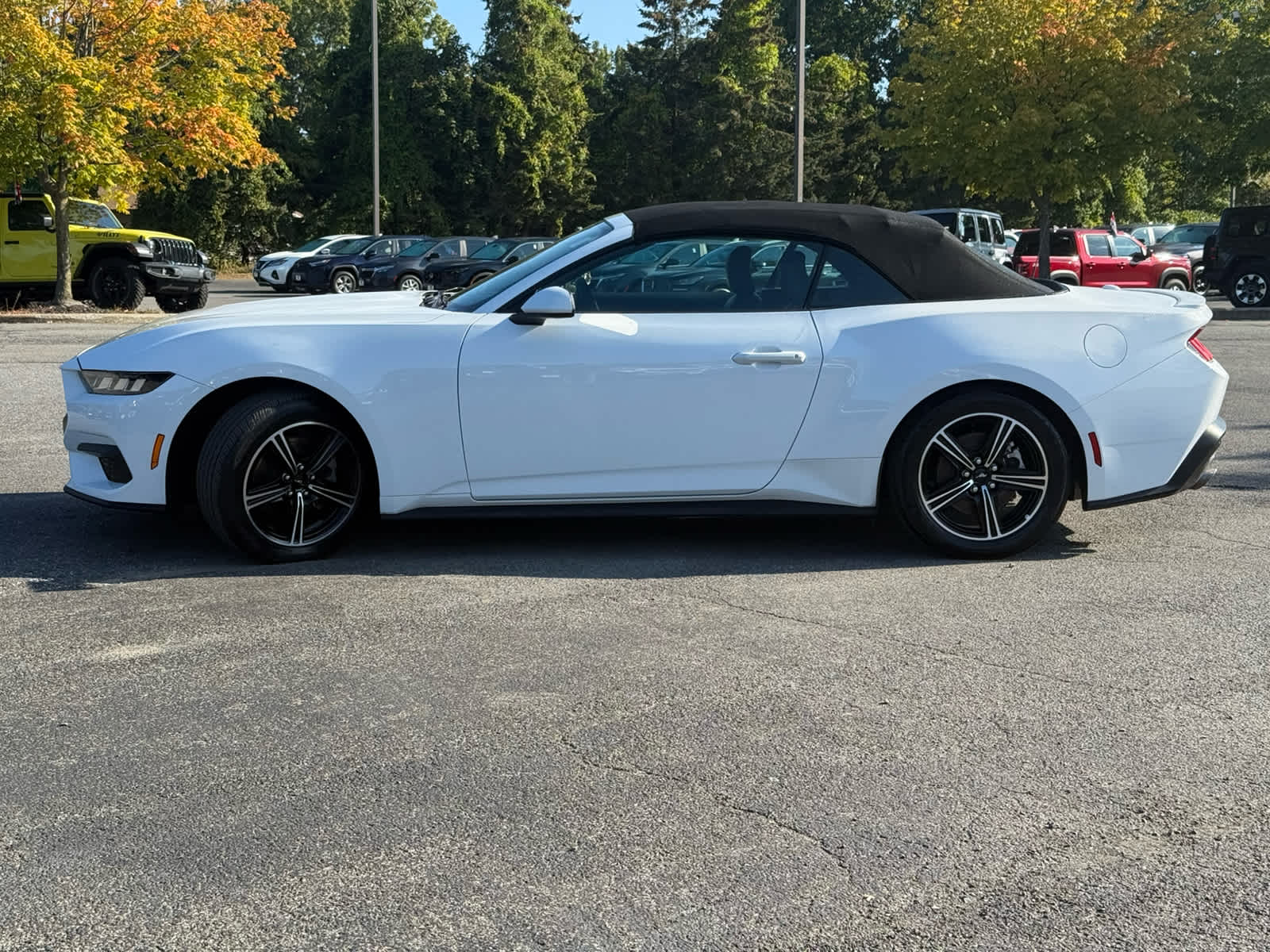 2025 Ford Mustang EcoBoost Premium Convertible photo 4