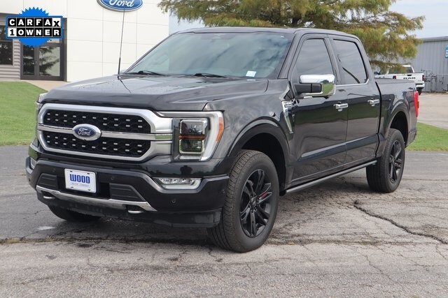 2023 Ford F-150 Platinum photo 2