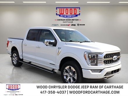 2022 Ford F-150 Platinum Truck