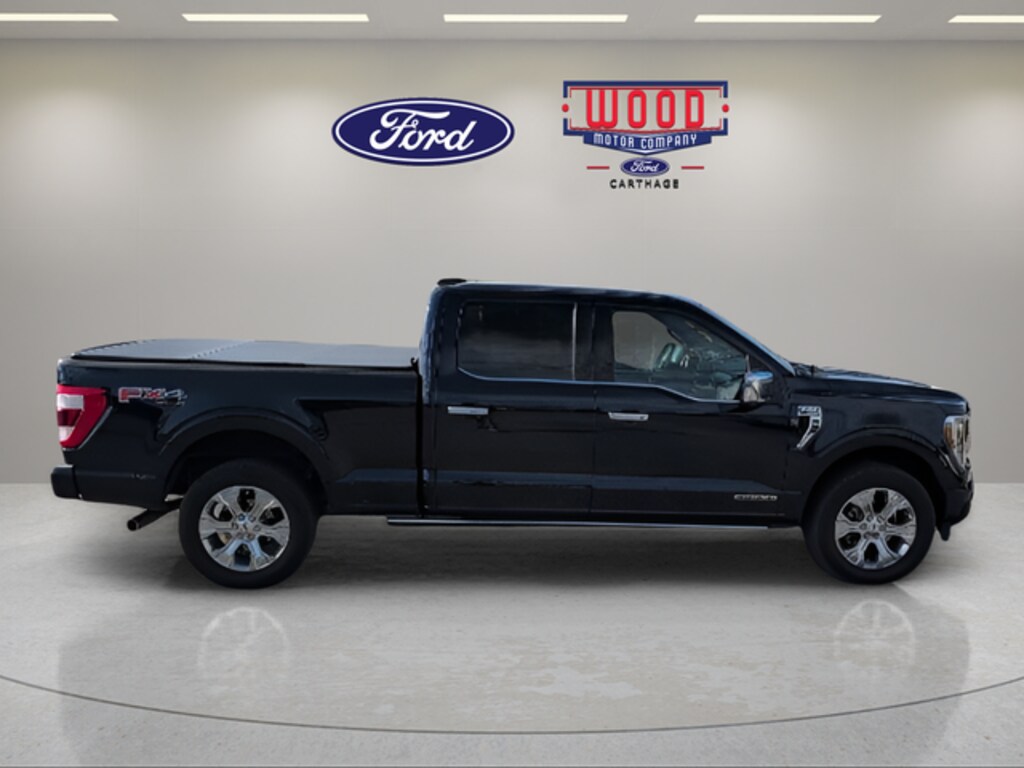 Used 2022 Ford F-150 Platinum Truck