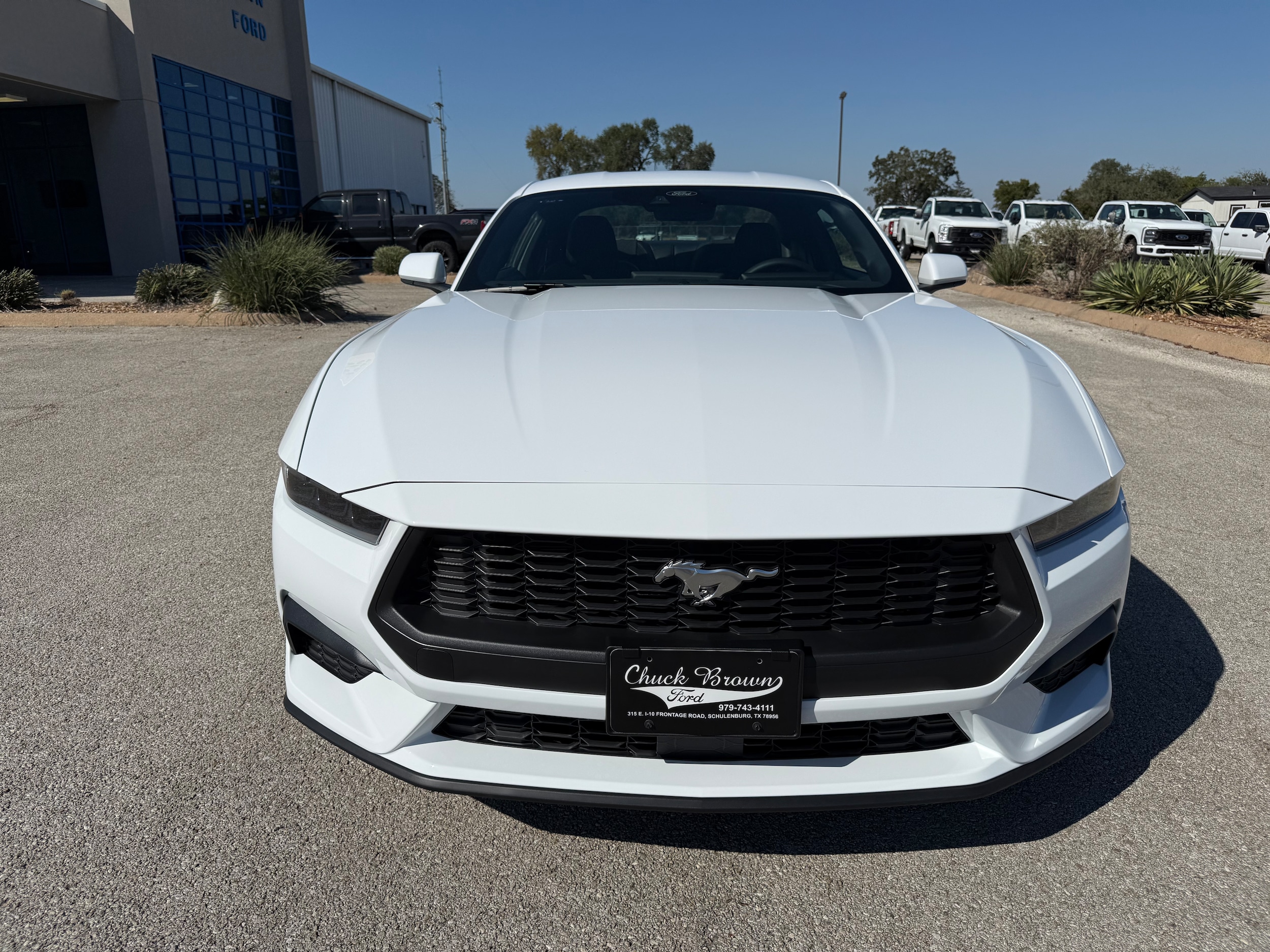 2025 Ford Mustang EcoBoost Fastback - Photo 8