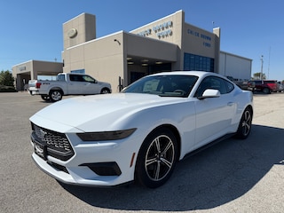 2025 Ford Mustang Ecoboost Fastback CAR