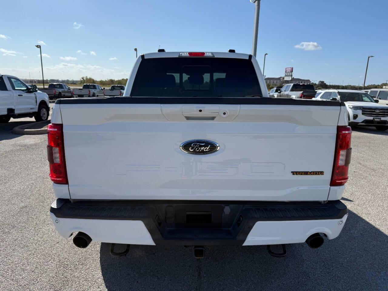 2023 Ford F-150 Tremor photo 4