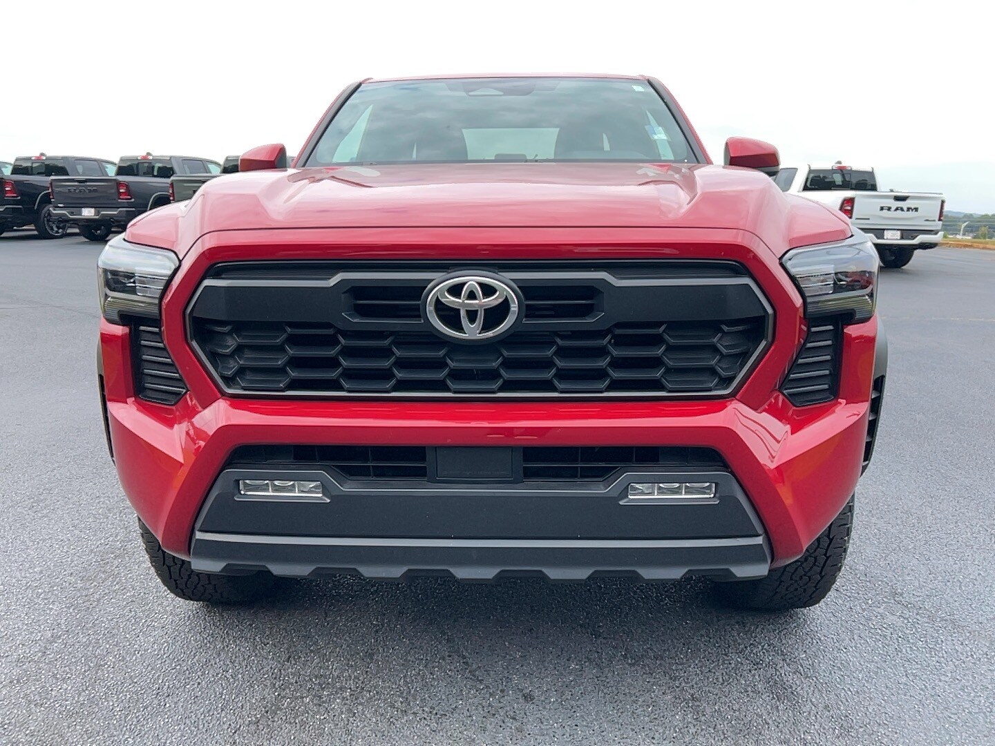 2024 Toyota Tacoma Limited photo 2