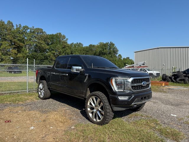 2021 Ford F-150 Platinum photo 2