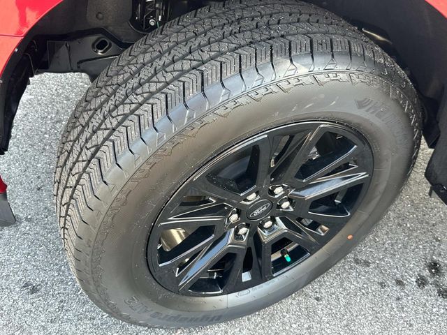 2025 Ford F-150 Platinum - Photo 20