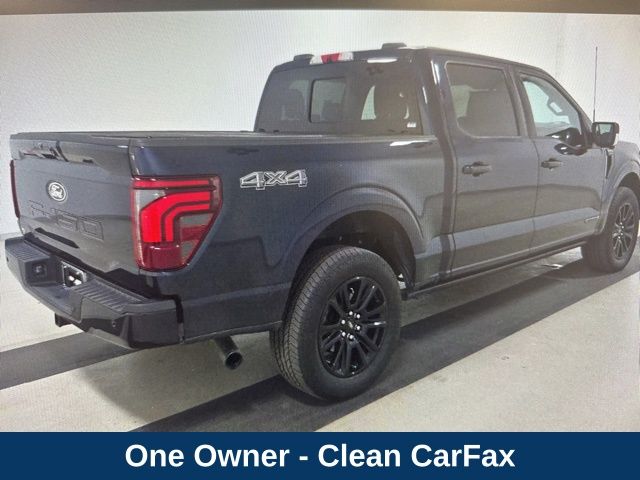 2024 Ford F-150 Platinum photo 2