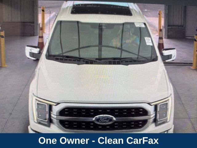 2022 Ford F-150 Platinum photo 2