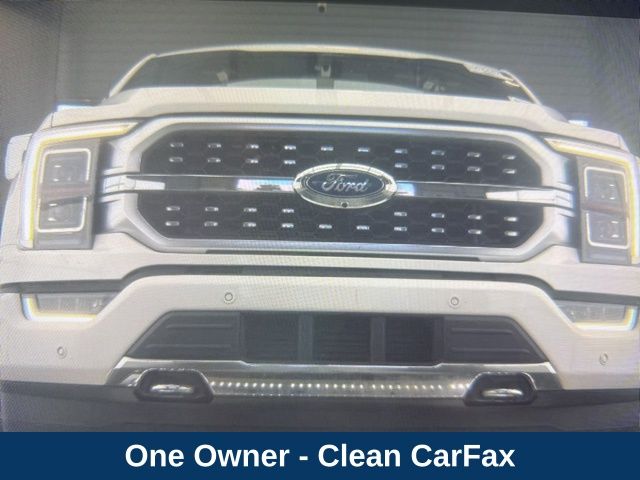 2022 Ford F-150 Platinum photo 3
