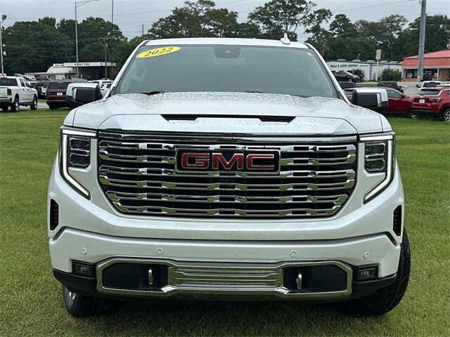 2022 Gmc Sierra 1500 Denali photo 2