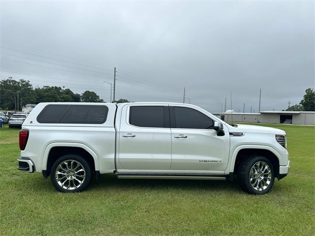2022 Gmc Sierra 1500 Denali photo 4