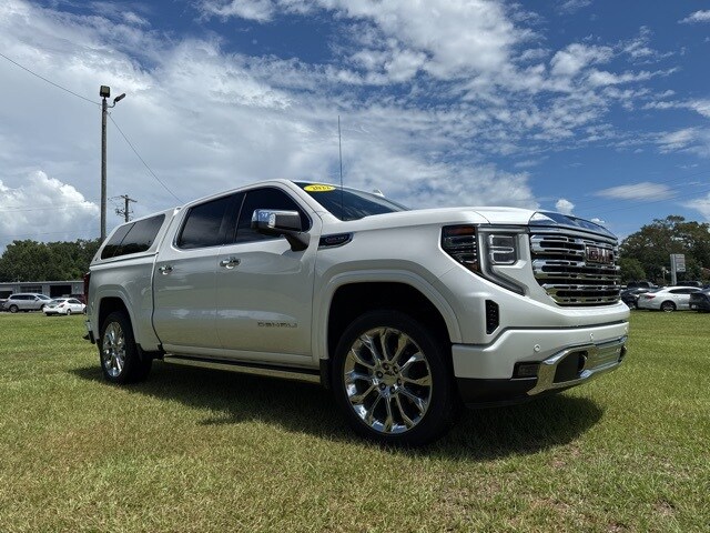 2022 Gmc Sierra 1500 Denali photo 3