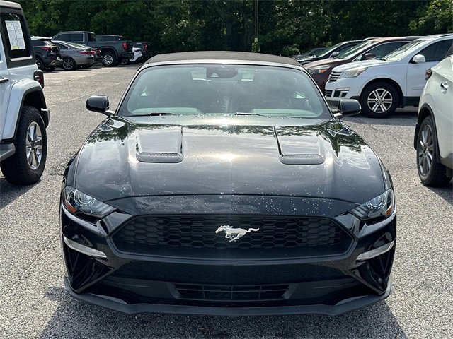 2023 Ford Mustang EcoBoost Premium photo 2