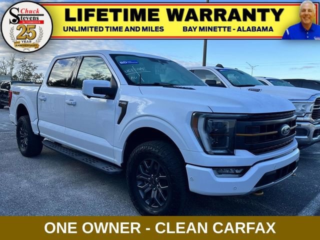 2021 Ford F-150 Tremor's photo