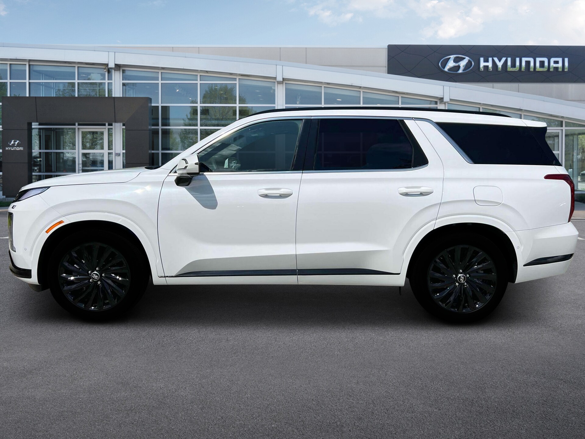 2025 Hyundai Palisade Calligraphy photo 3