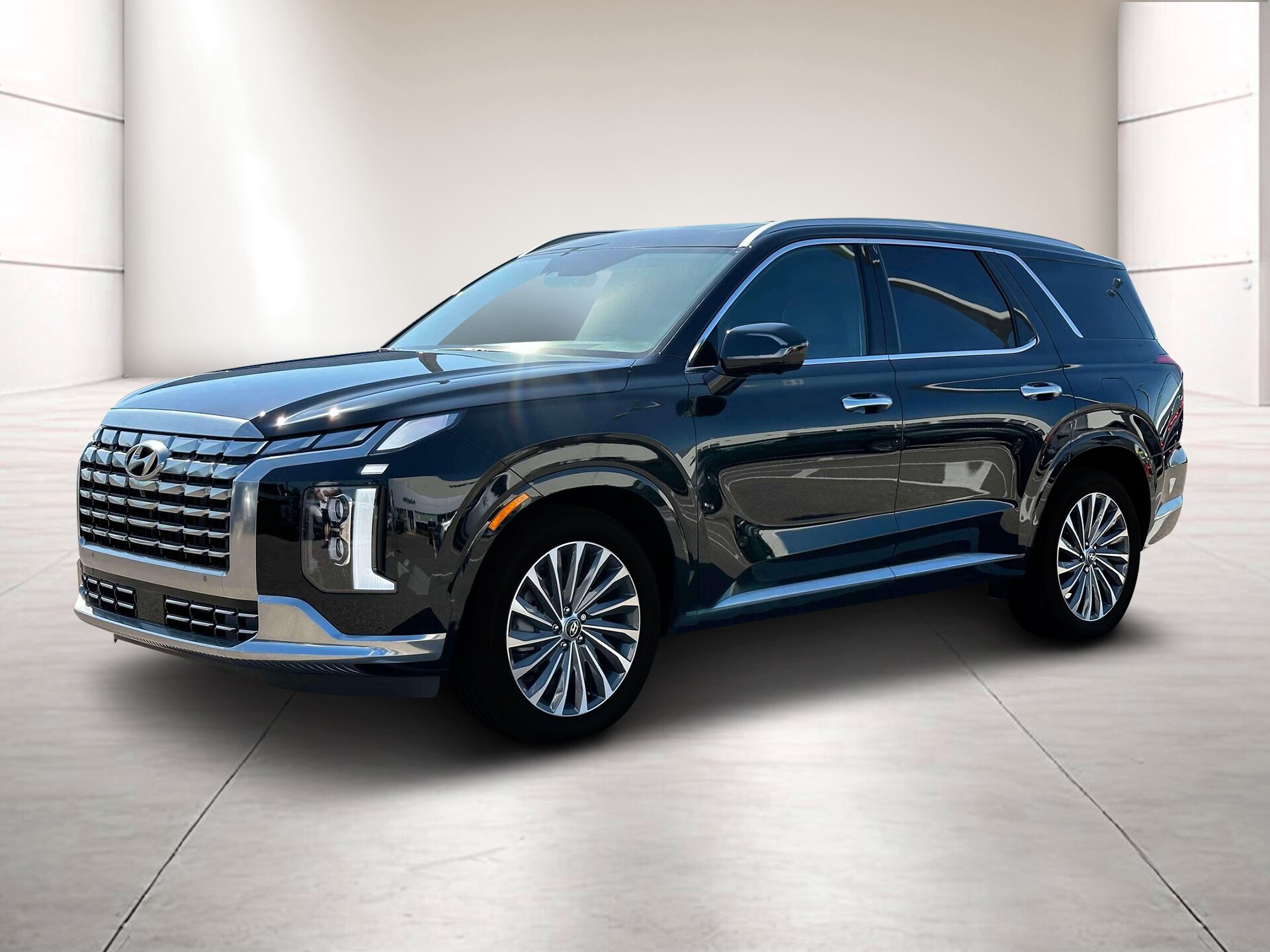 2024 Hyundai Palisade Calligraphy photo 2