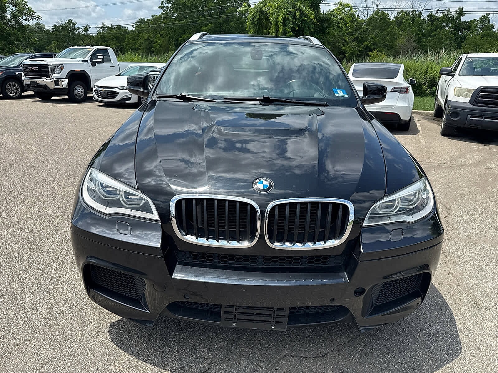 2013 Bmw X6 M photo 4