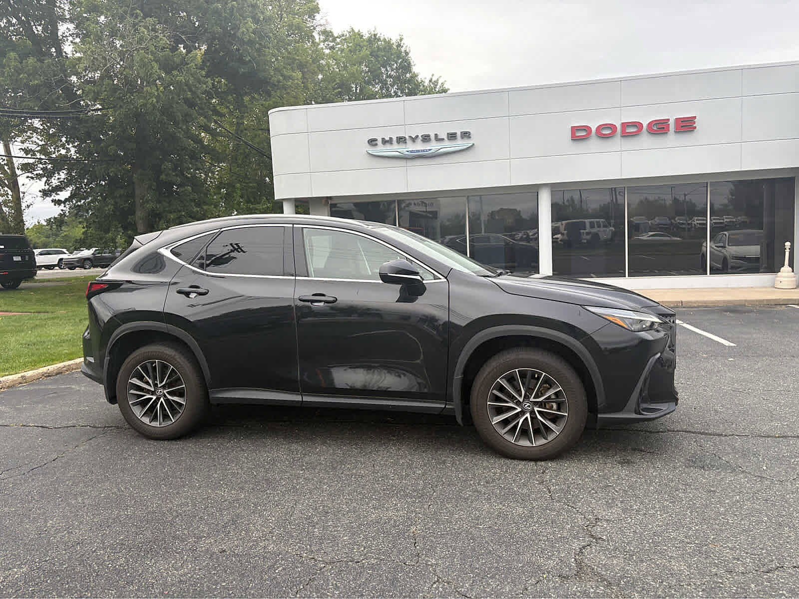 2022 Lexus NX 350 Luxury photo 2