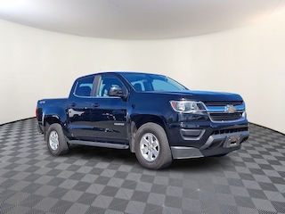 2020 Chevrolet Colorado Work Truck Truck Crew Cab for sale in Muncy PA