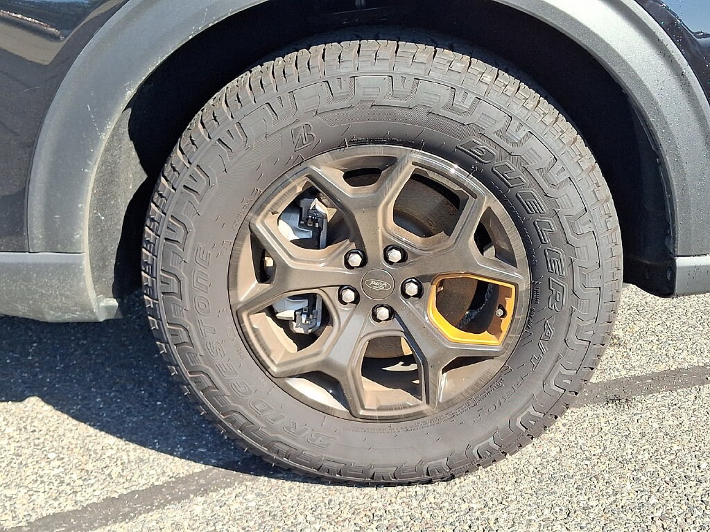 Photo 11