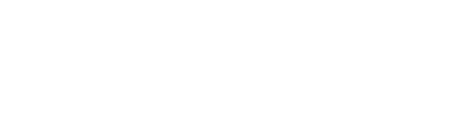 Partner Logo 2