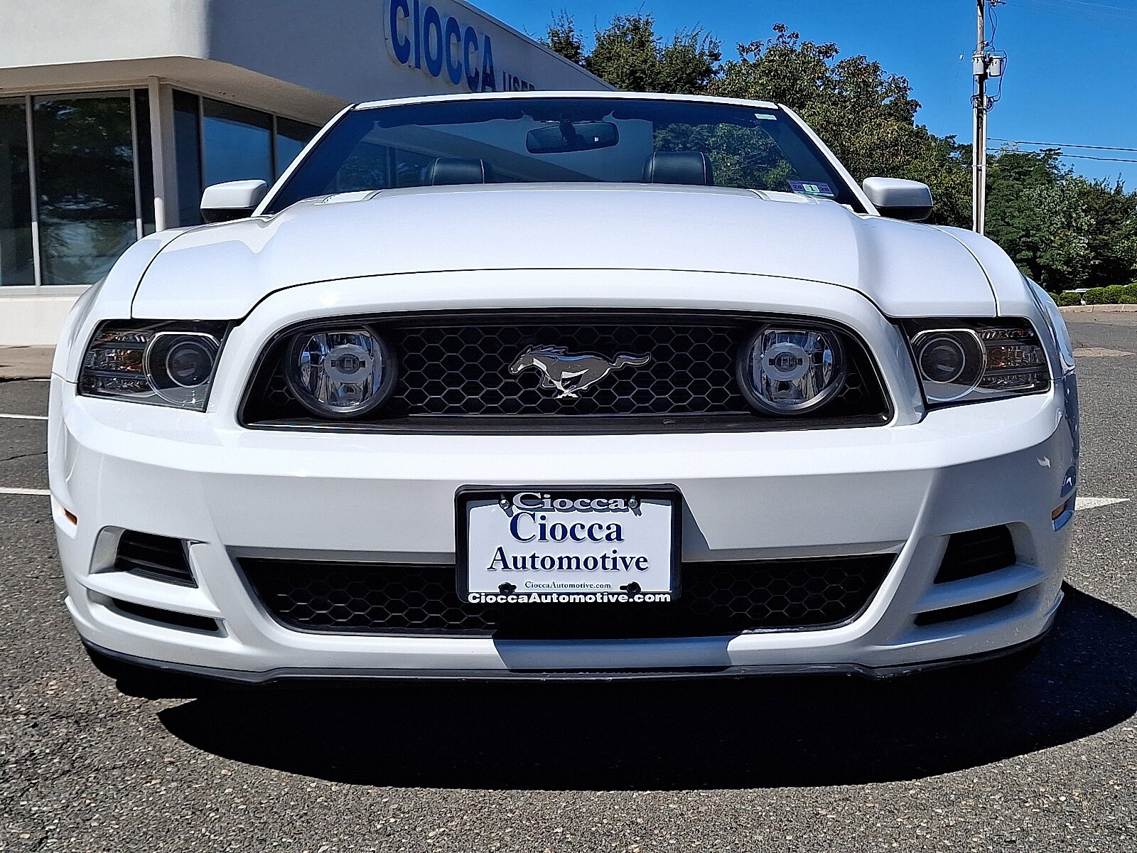 2014 Ford Mustang GT Premium Convertible photo 4