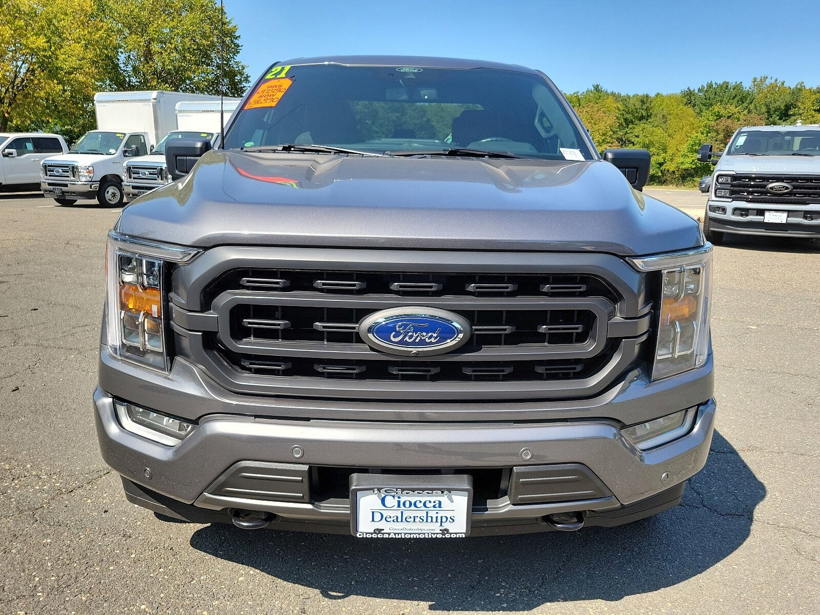 Certified 2021 Ford F-150 XLT with VIN 1FTFW1ED5MFB98328 for sale in Flemington, NJ