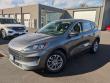 Used 2022 Ford Escape SE SUV