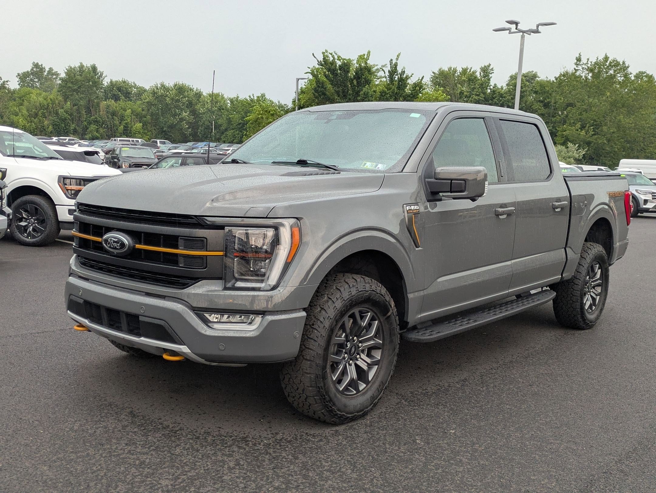 2021 Ford F-150 Tremor photo 3
