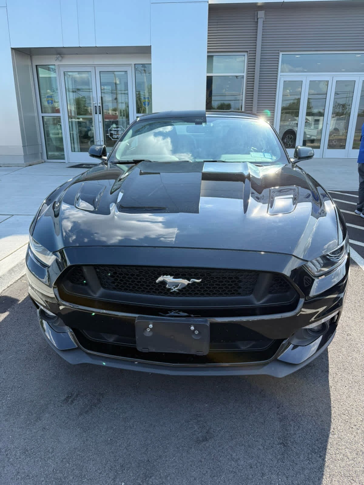 2017 Ford Mustang GT Premium photo 2