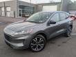 Used 2022 Ford Escape SE SUV